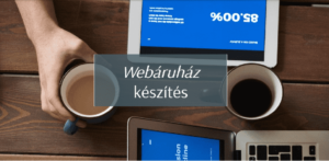 Viltor webáruház készítés